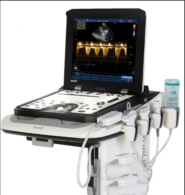 whale_lambda_p9_with_cart