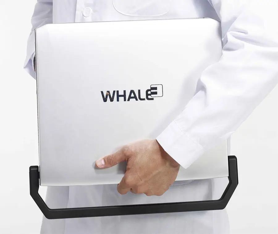 Whale_Lambda_P9_folded_in_hand