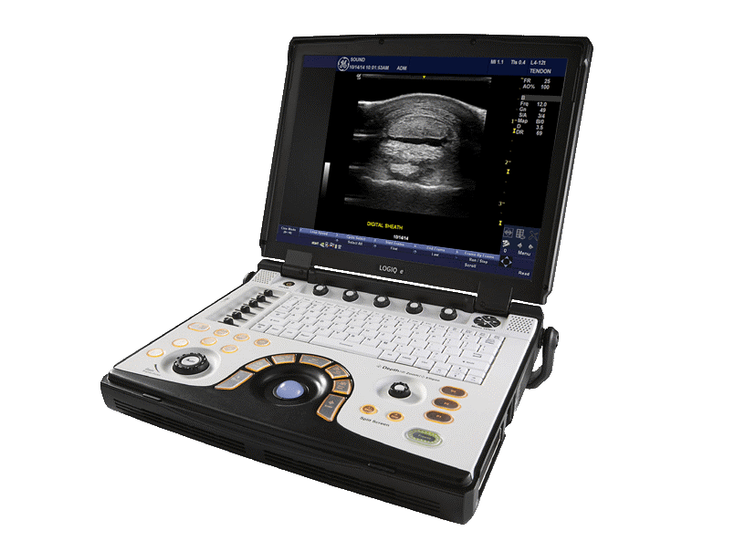 vet-ultrasound-blog-logiq-e-nextgen-image