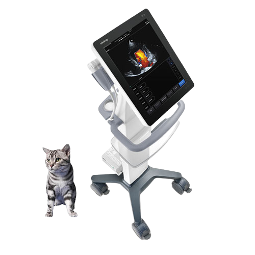 mindray-te5-vet-animal-ultrasound-for-sale