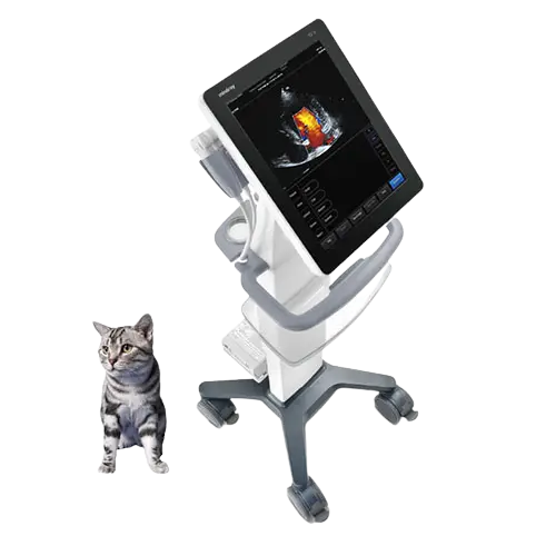 mindray-te5-vet-animal-ultrasound-for-sale